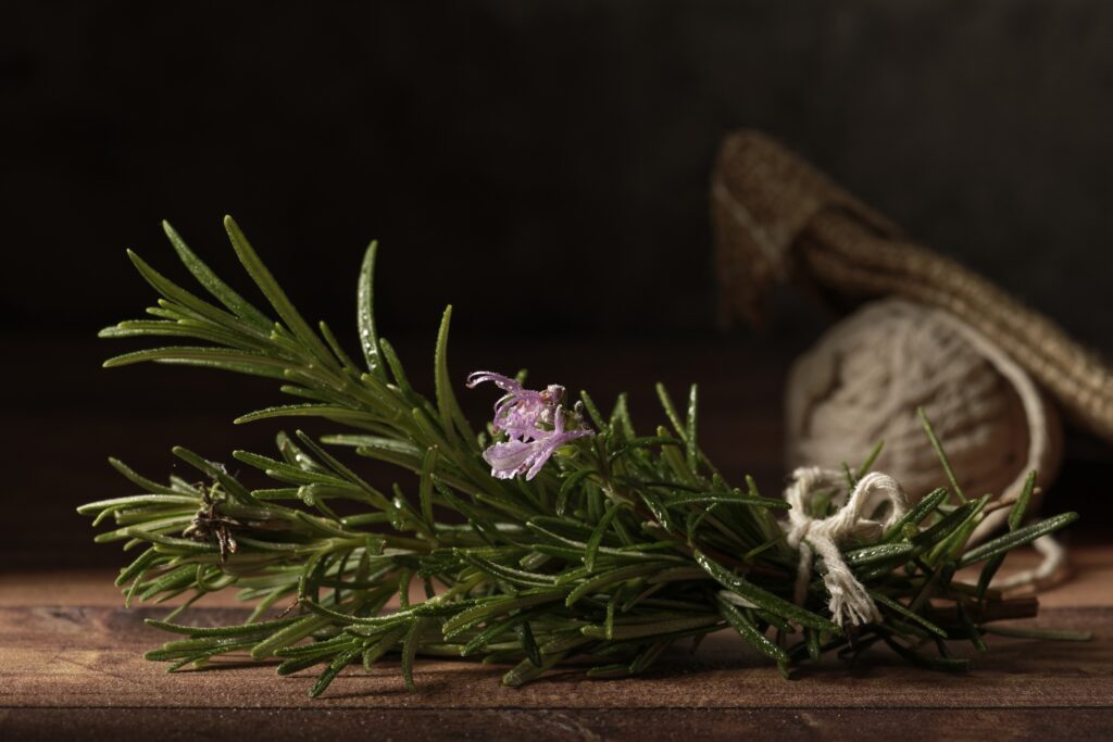 A closeup shot of green rosemary on the table with a blurred background